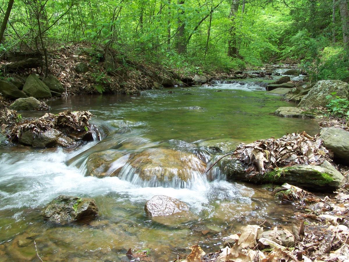 Cabin Creekwood Lyndhurst 外观 照片
