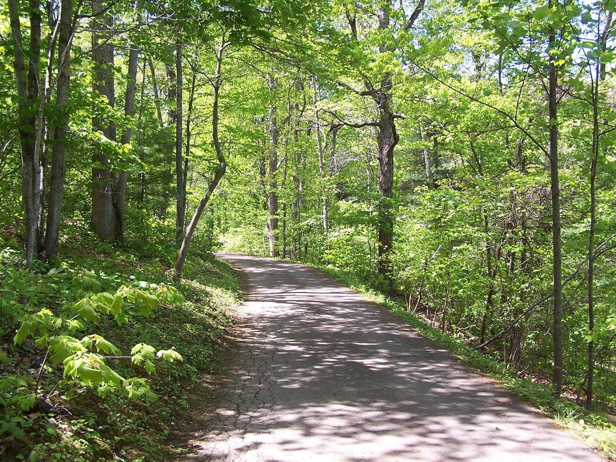 Cabin Creekwood Lyndhurst 外观 照片