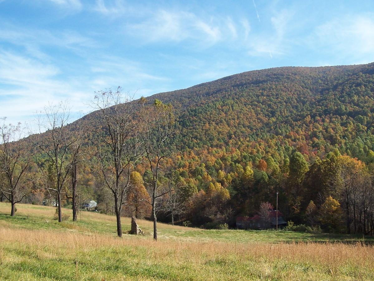 Cabin Creekwood Lyndhurst 外观 照片